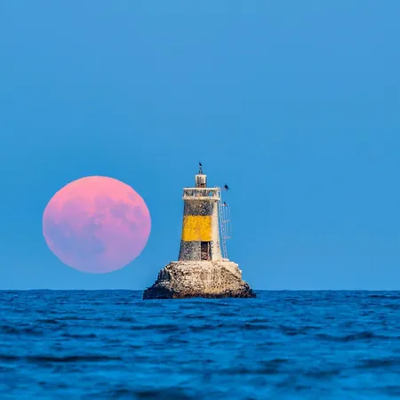 Cosher Gardenia Palace 6 Free Parking 포마리