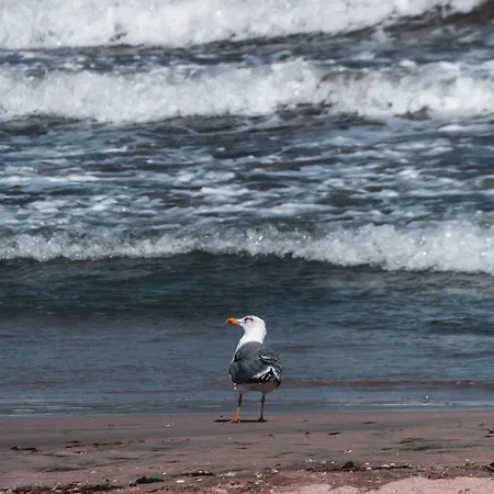 Apartman Cosher Gardenia Palace 6 Free Parking Pomorie