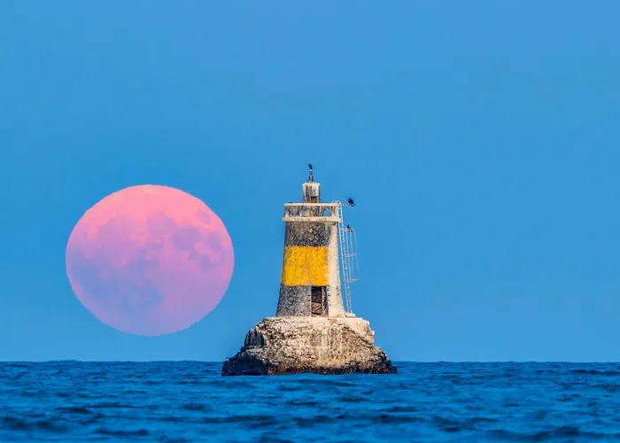 Cosher Gardenia Palace 6 Free Parking Pomorie