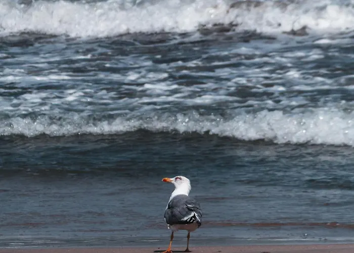 Apartman Cosher Gardenia Palace 6 Free Parking Pomorie